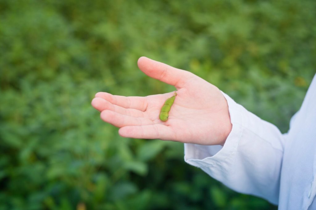 Kratom Drug Interactions List